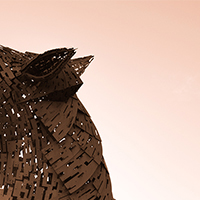 graphic13